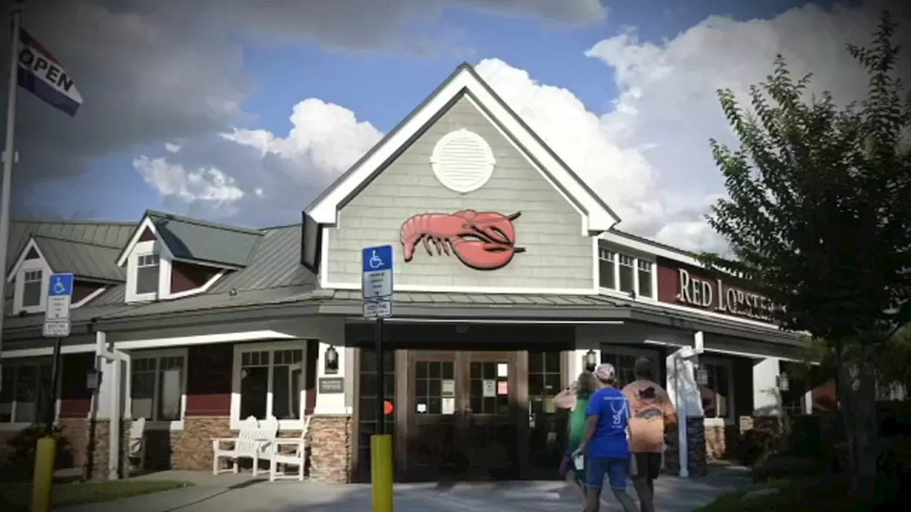 Red Lobster Bankruptcy What went wrong at Red Lobster Is the allyou