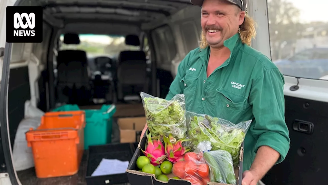 Farmers' markets increasing in popularity as supermarkets accused of price gouging