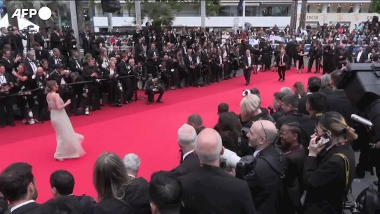 Cannes: sul red carpet anche Messi, il cane di 'Anatomia di una caduta'