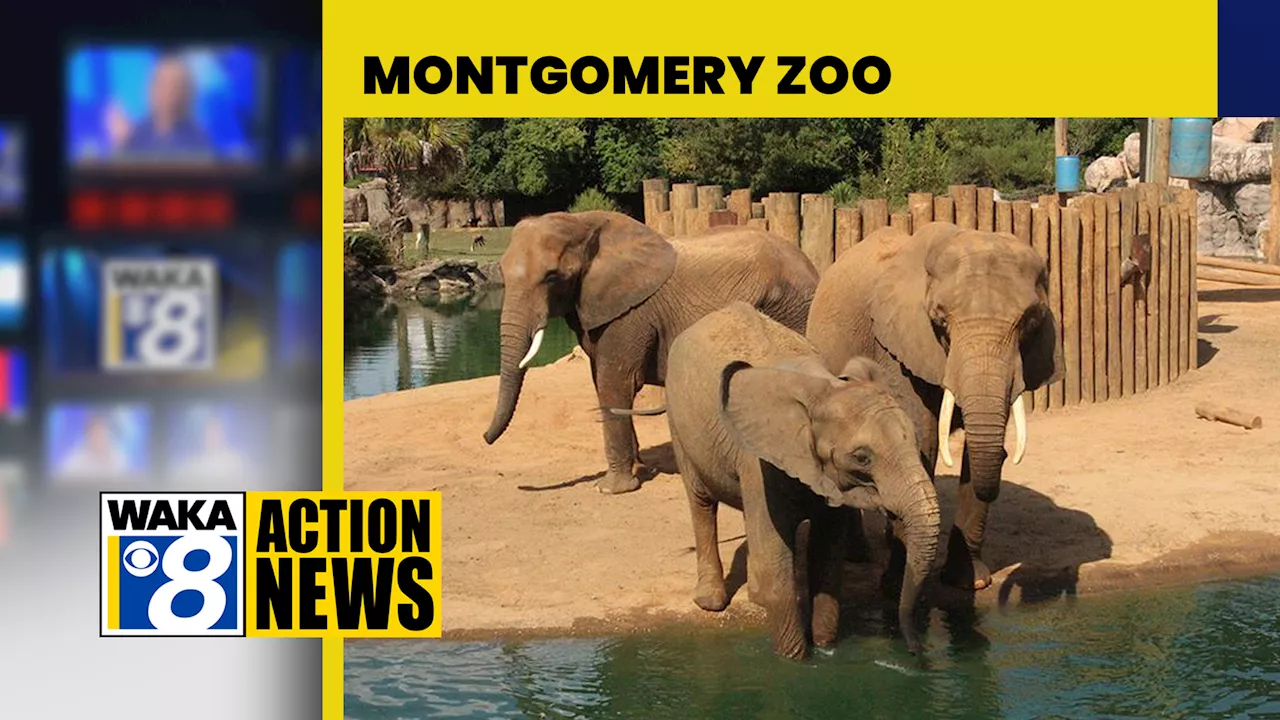 Montgomery Zoo hosts Spring Animal Enrichment Day this weekend