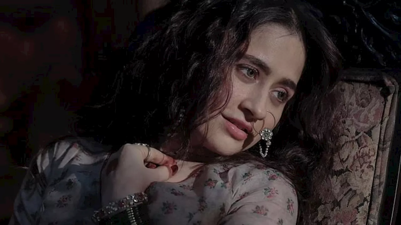 Sanjeeda Shaikh: 'हीरामंडी' की आलोचना पर संजीदा शेख ने किया संजय लीला भंसाली का बचाव, आलोचकों को दिया यह जवाब