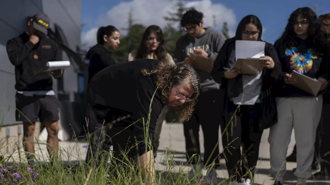 Community colleges offer clean energy training as climate-related jobs expand across America