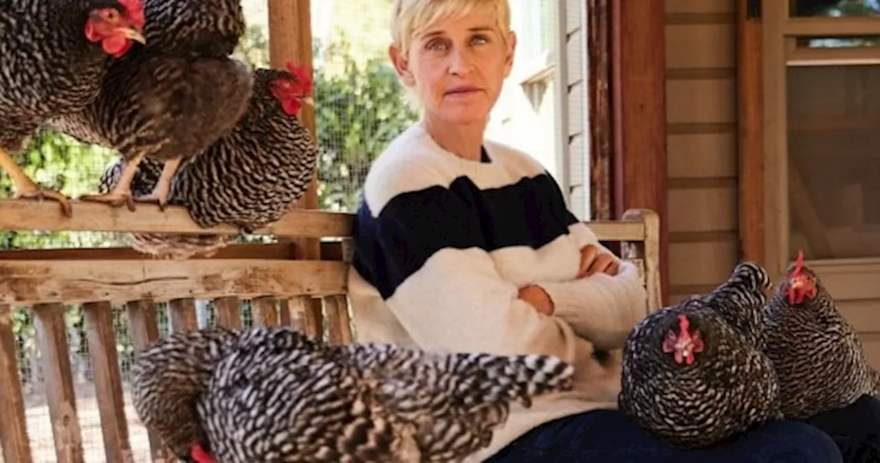 Ellen DeGeneres to address her talk show scandal on final comedy special for Netflix