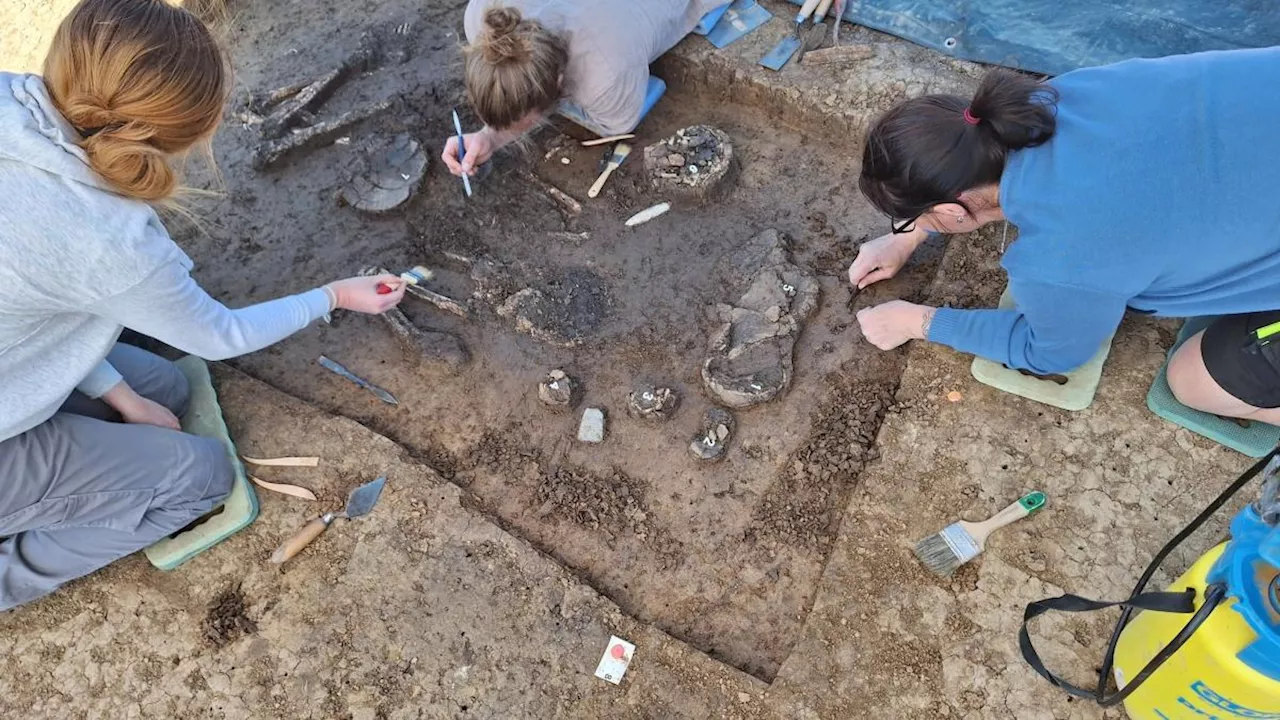 6800 Jahre altes Skelett in Niederbayern ausgegraben