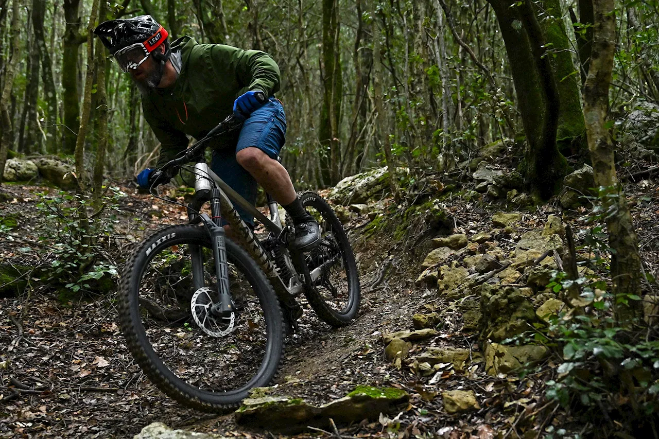 Marin Alpine Trail Reshapes All-New, Super Adjustable 160mm Alloy Enduro Bike: 1st Ride