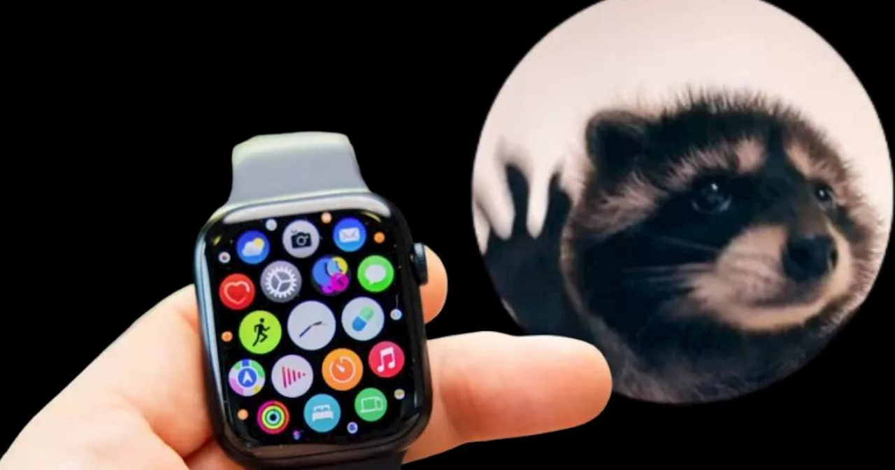 Cómo poner el mapache de “Pedro, Pedro” en un Apple Watch