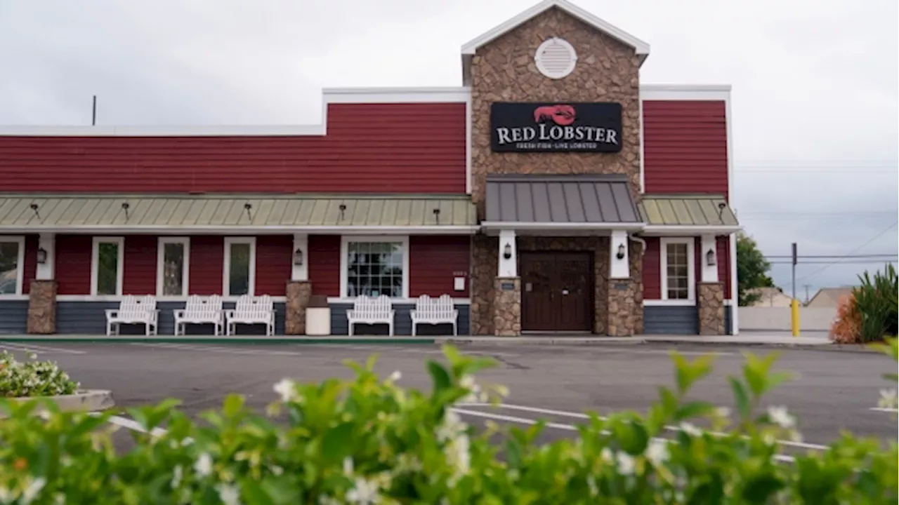 Red Lobster Creditors to Weigh Bid for Assets in Chapter 11