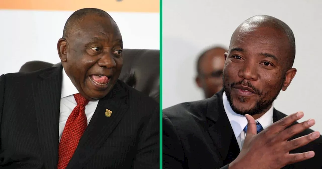 Maimane Challenges Ramaphosa to Use Public Hospitals Before Signing the NHI Bill