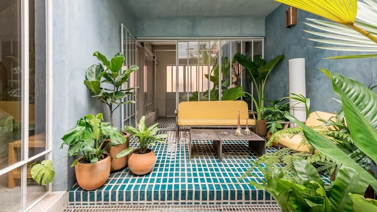 The Best Airbnbs In Mexico City To Book For Your Next Getaway