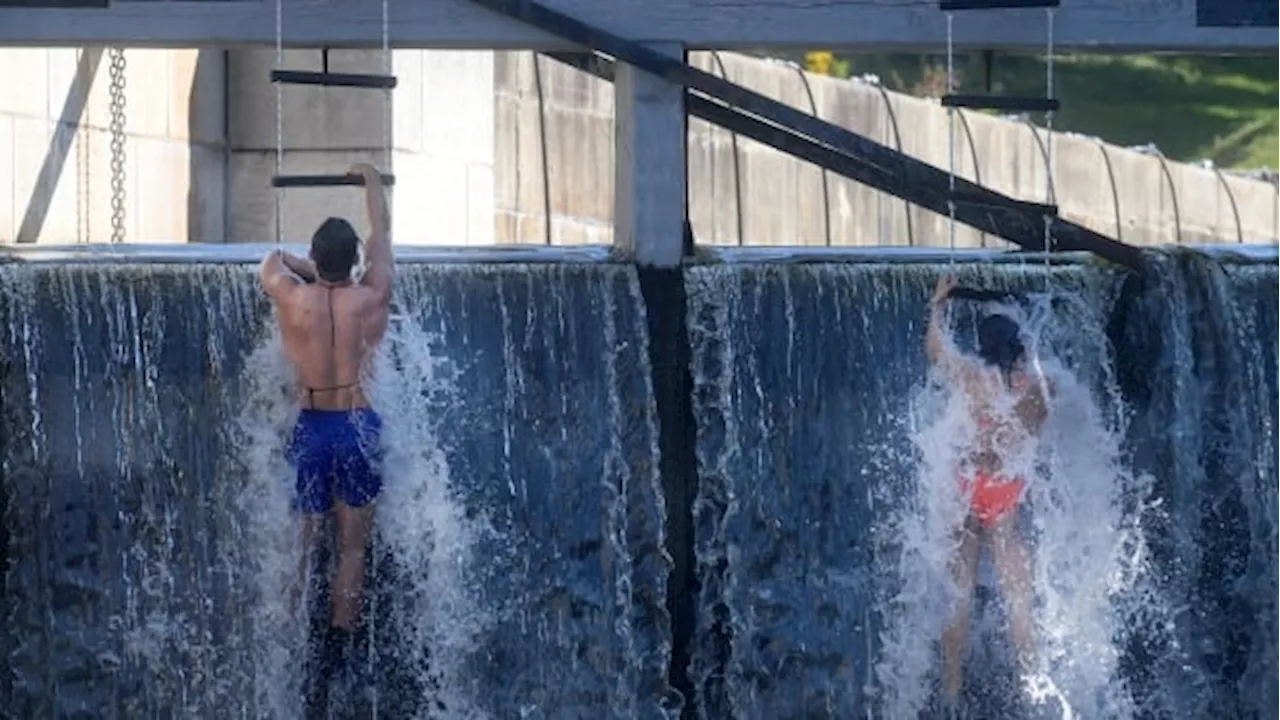 An epic swim in Ottawa's Rideau Canal pushes competitors to their limits