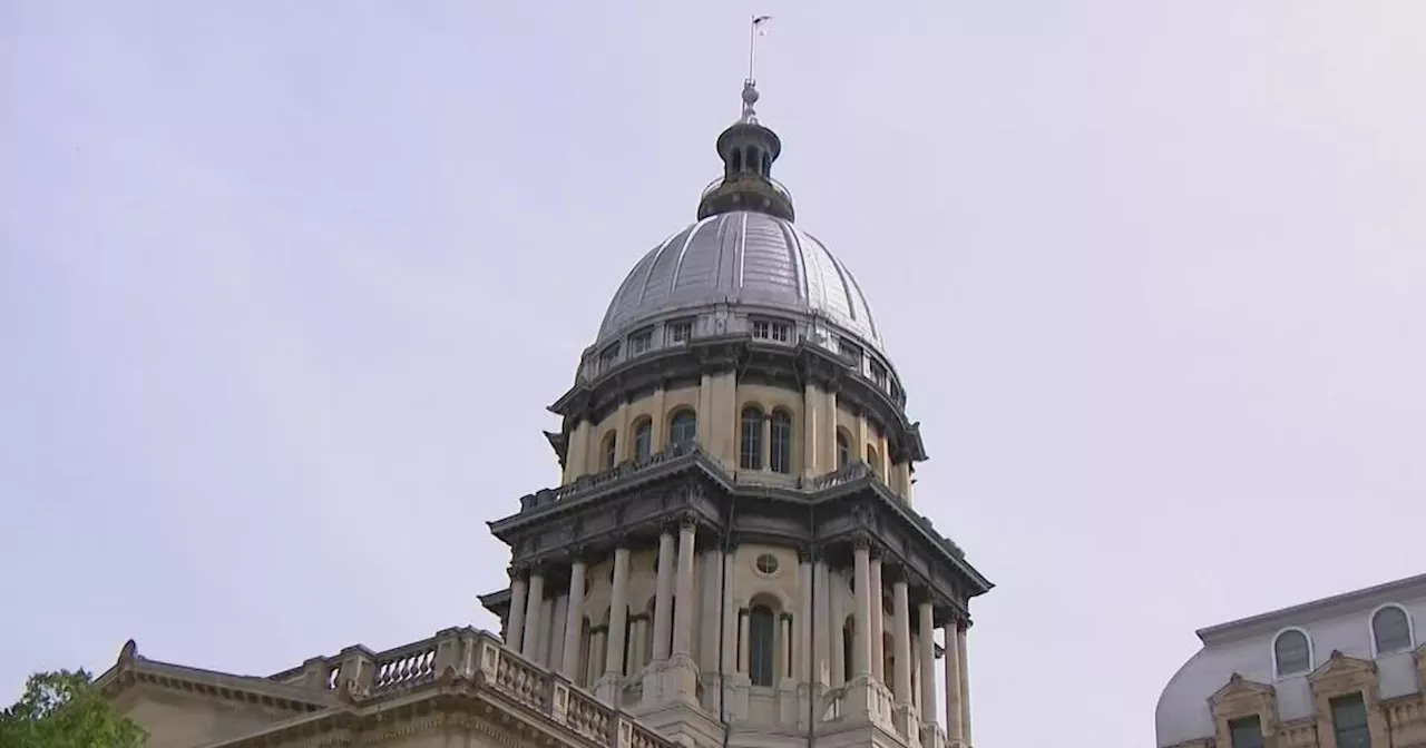 Chicago Public School teachers head to Springfield to demand more funding