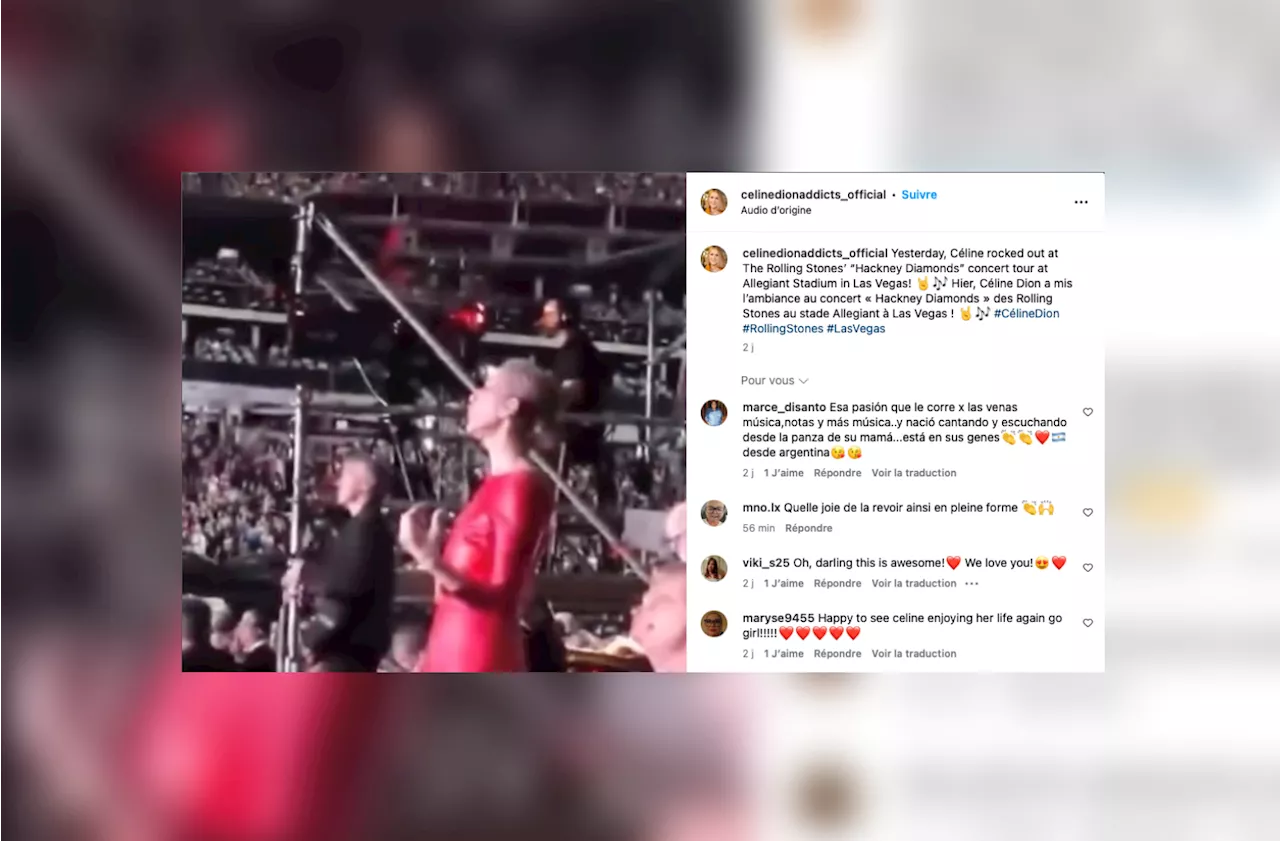 Céline Dion : la chanteuse fait du Air guitar lors du concert des Rolling Stones (vidéo)