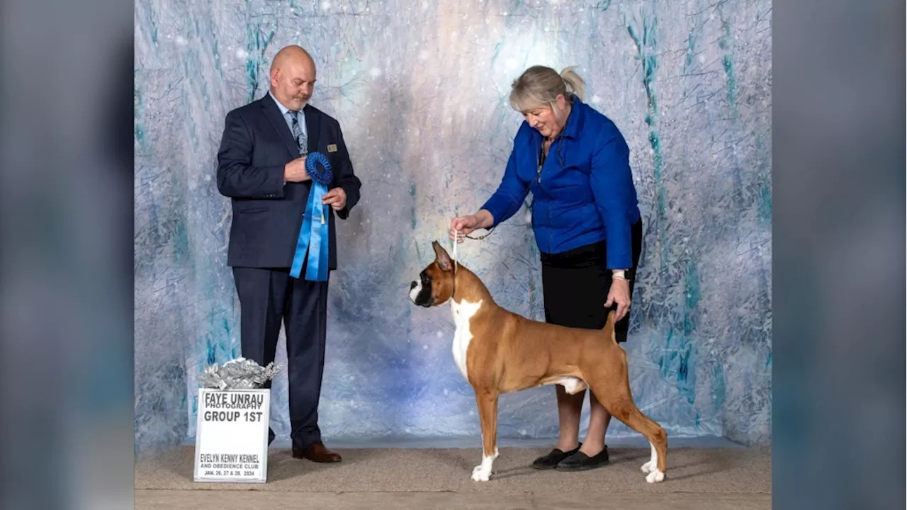 Calgary-area dog among big Canadian winners at the Westminster Dog Show