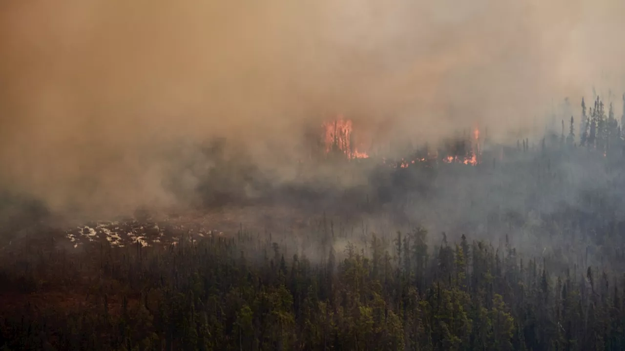 Growing wildfires across Western Canada are forcing thousands from their homes