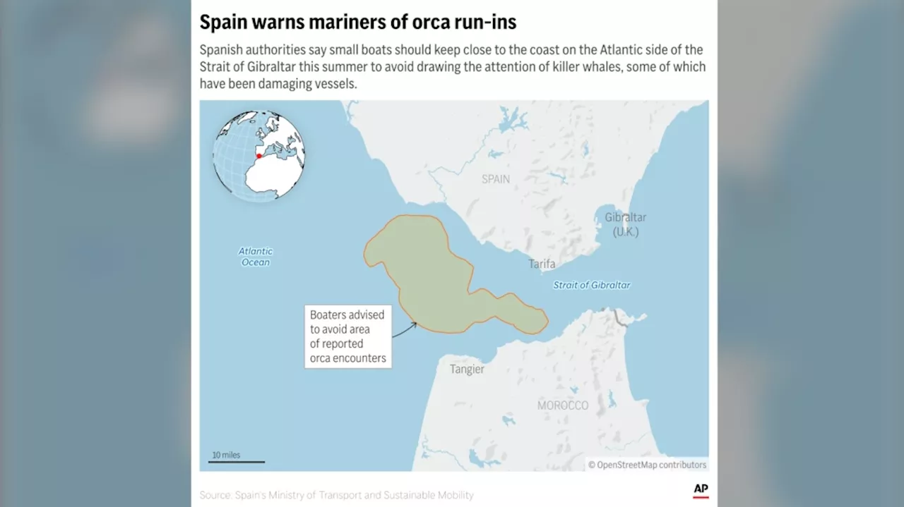 Spain warns boats of possible orca run-ins near the Strait of Gibraltar this summer