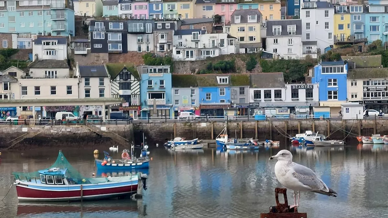 South West Water says residents should boil their tap water as 'hundreds' are struck down with...