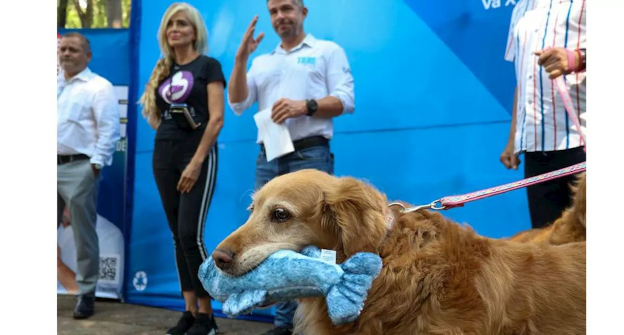 Mauricio Tabe propone un Consejo Animalista en la Miguel Hidalgo