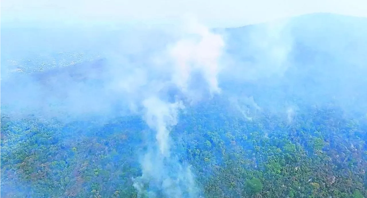 Suman 24 incendios forestales activos en toda la entidad