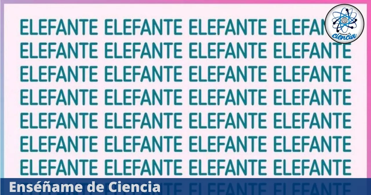 Acertijo visual FÁCIL: Encuentra la palabra “ELEGANTE” oculta entre “ELEFANTE en tiempo récord