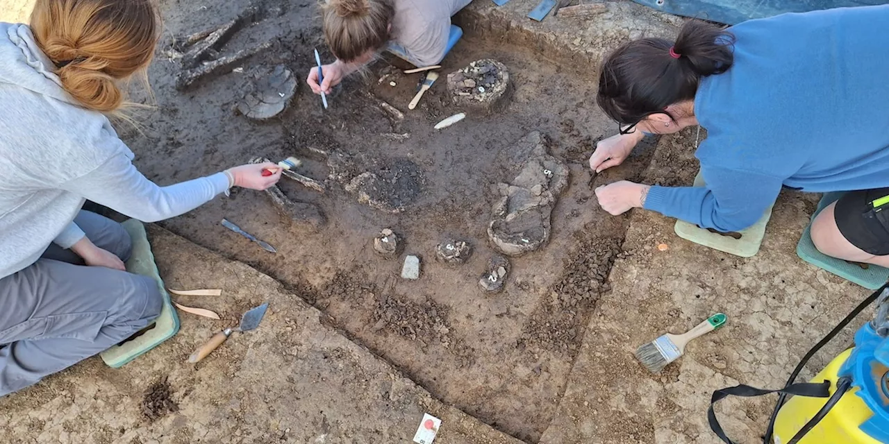 Archäologie: 6800 Jahre altes Skelett in Niederbayern ausgegraben