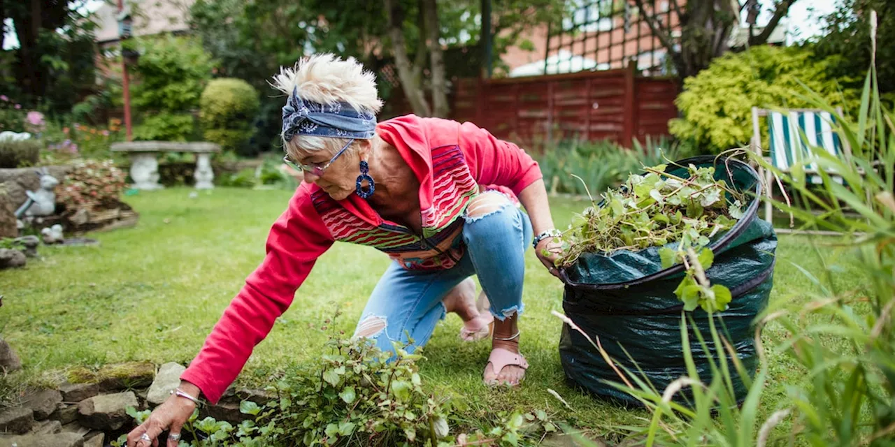 Auf zwei beliebte Hausmittel sollten Sie im Garten verzichten