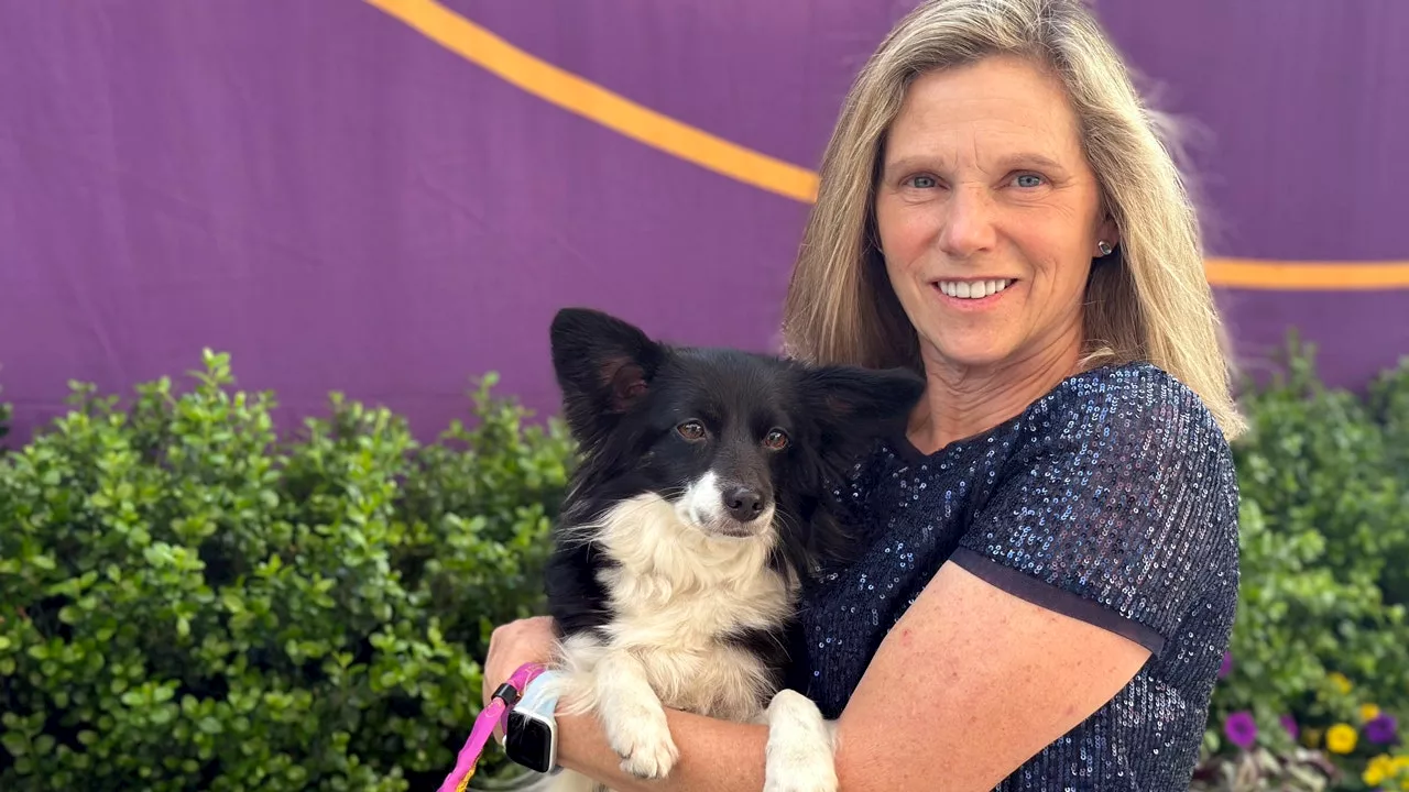 A 'border pap' becomes first mixed-breed dog to win Westminster dog show agility competition