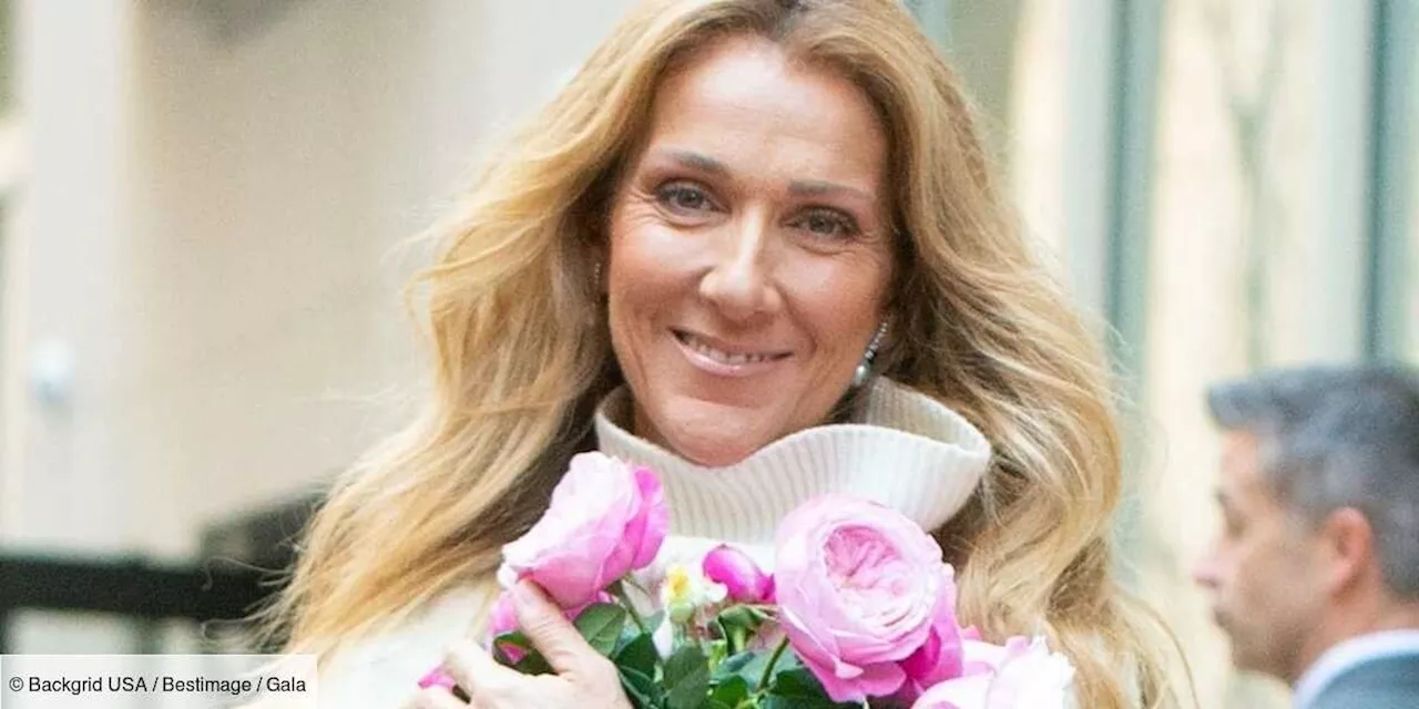 – Céline Dion radieuse : nouvelle sortie remarquée avec ses trois enfants