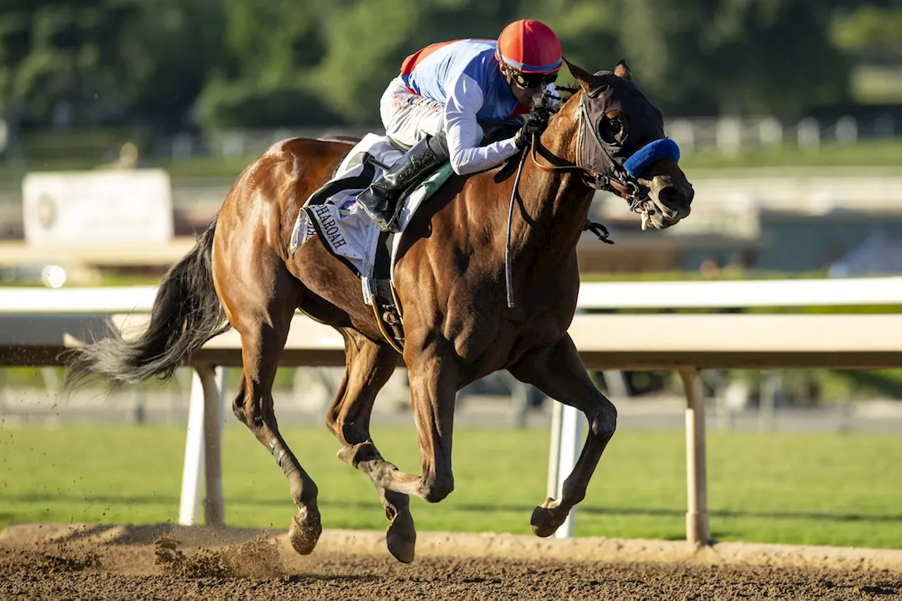 Preakness favourite Muth ruled out of second leg of Triple Crown after spiking a fever