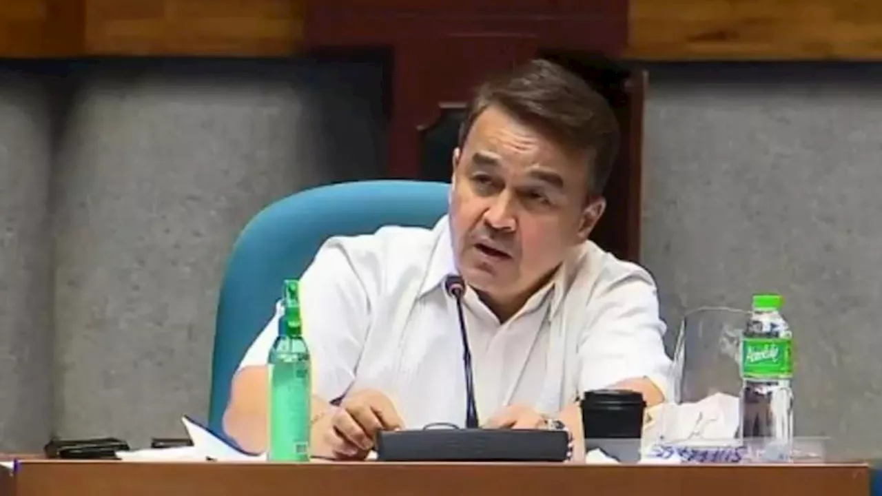 Lawmaker: Some Chinese tourists converting to student visa to extend stay in PH