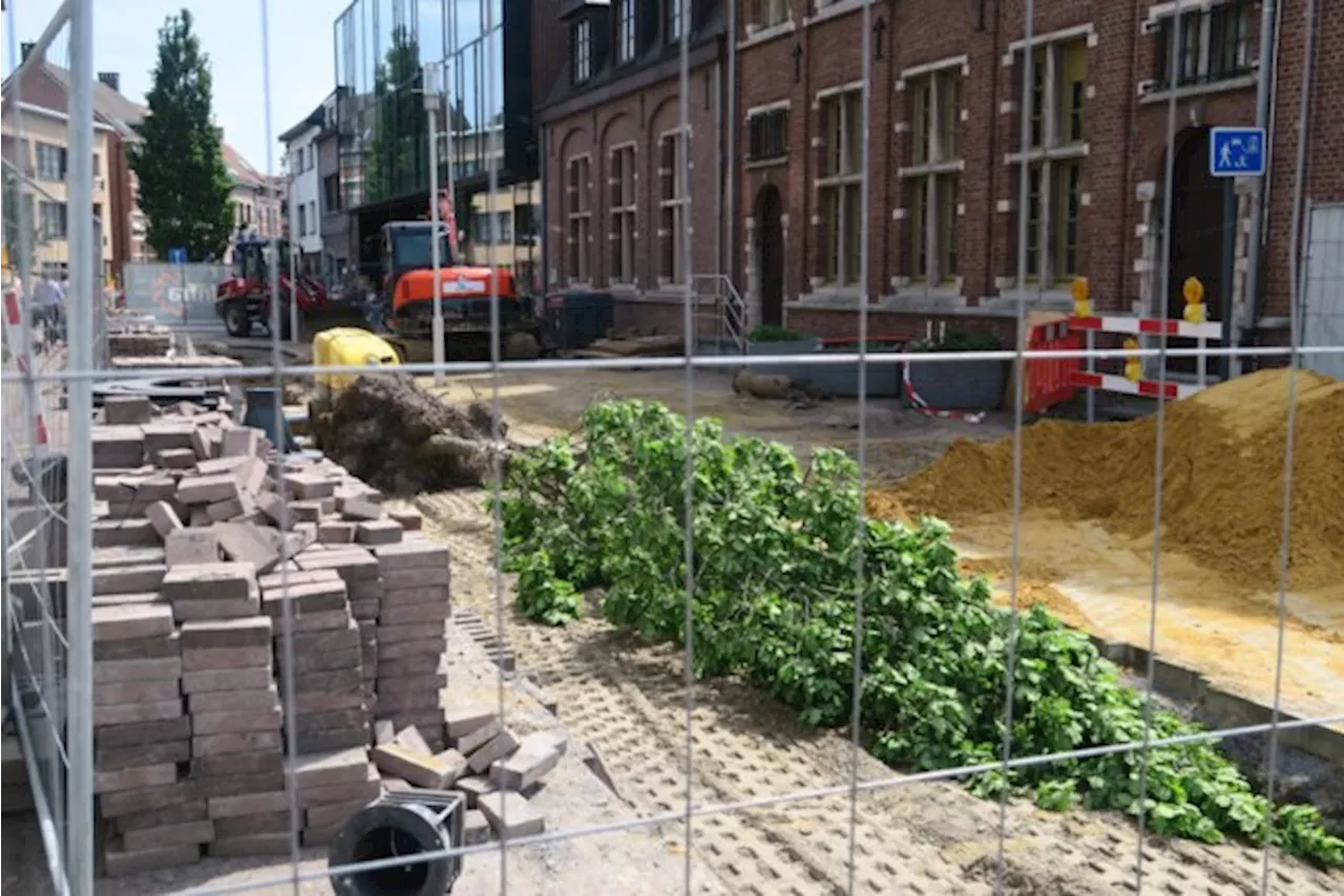 Twee bomen opgeofferd voor nieuwe waterleiding dorpscentrum: “We planten dit najaar nieuwe”