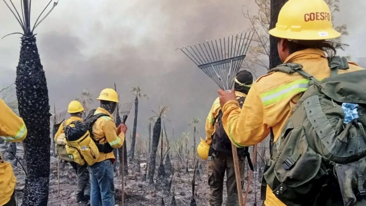 Suman seis víctimas mortales a causa de los incendios forestales en Oaxaca