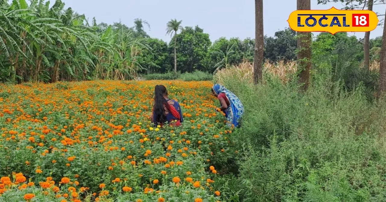 कम लागत में चौगुना मुनाफा, इस फूल की खेती से बदली महिलाओं की किस्मत, लाखों में पहुंची इनकम