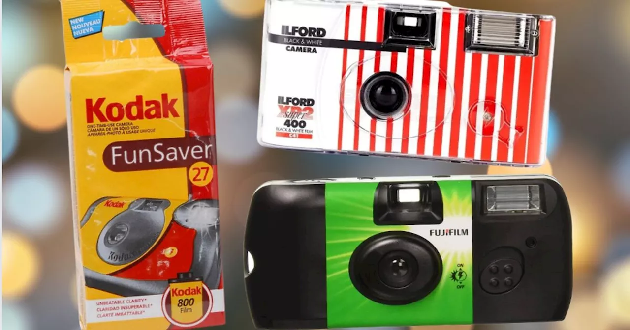 The Best Disposable Cameras, According To Professional Photographers