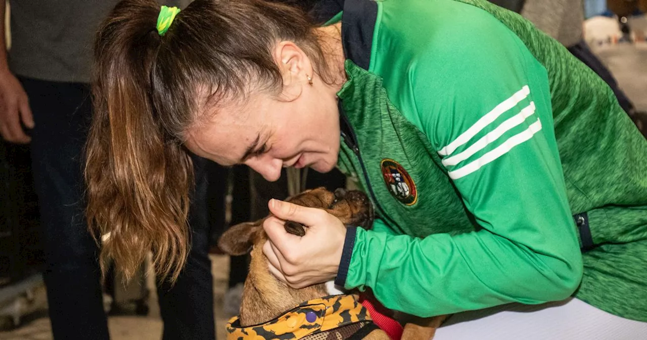 Olympic boxer Kellie Harrington tells of grief over death of beloved pet