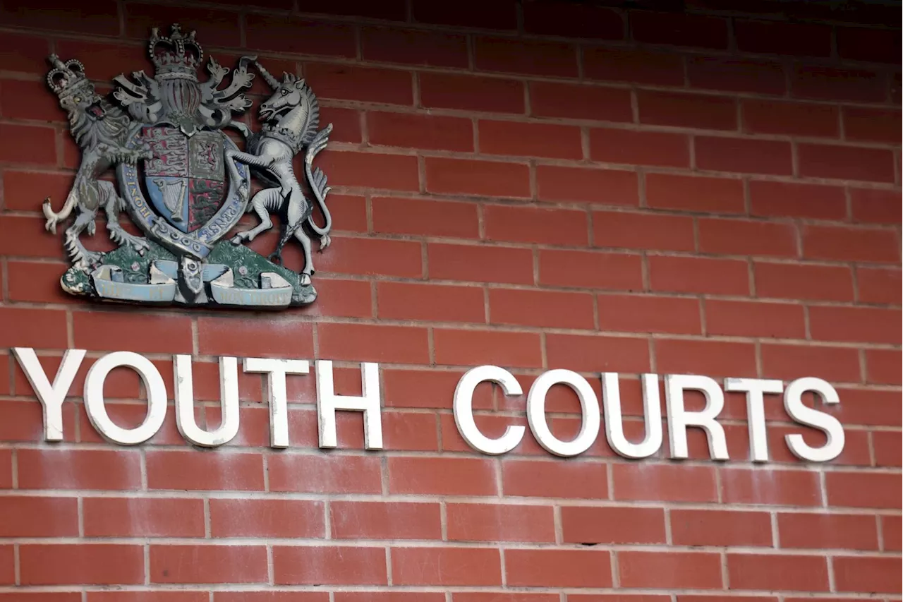 Teenage boy sentenced for outraging public decency over penetrating horse in Northumberland