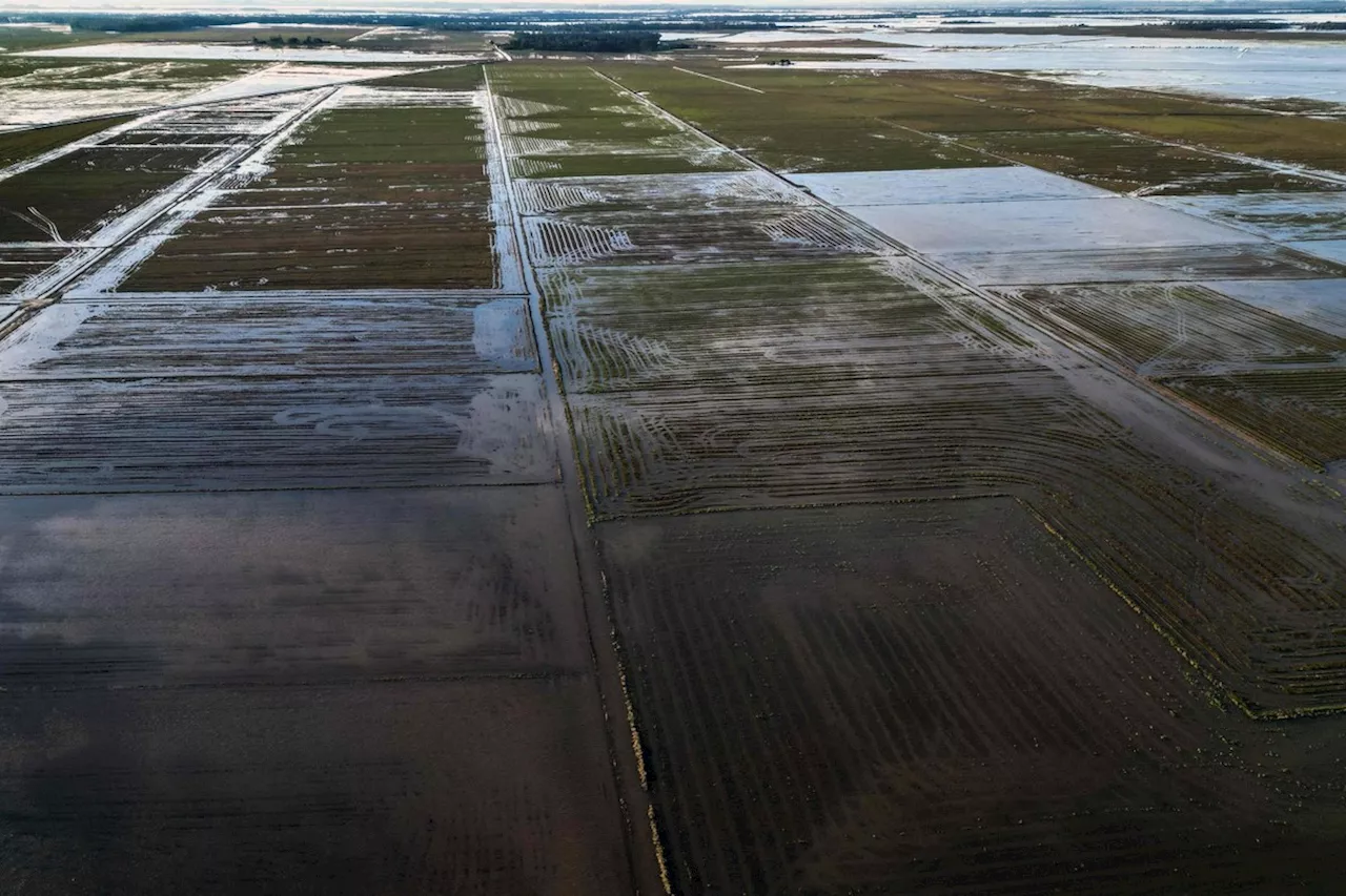 Impacto de enchentes na agricultura do RS deve perdurar até a próxima safra, estima Embrapa