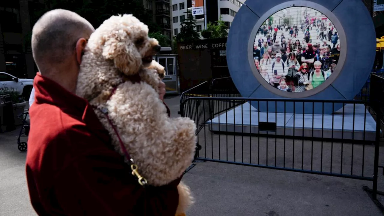 Sidewalk video ‘Portal’ linking New York, Dublin by livestream temporarily paused after lewd antics