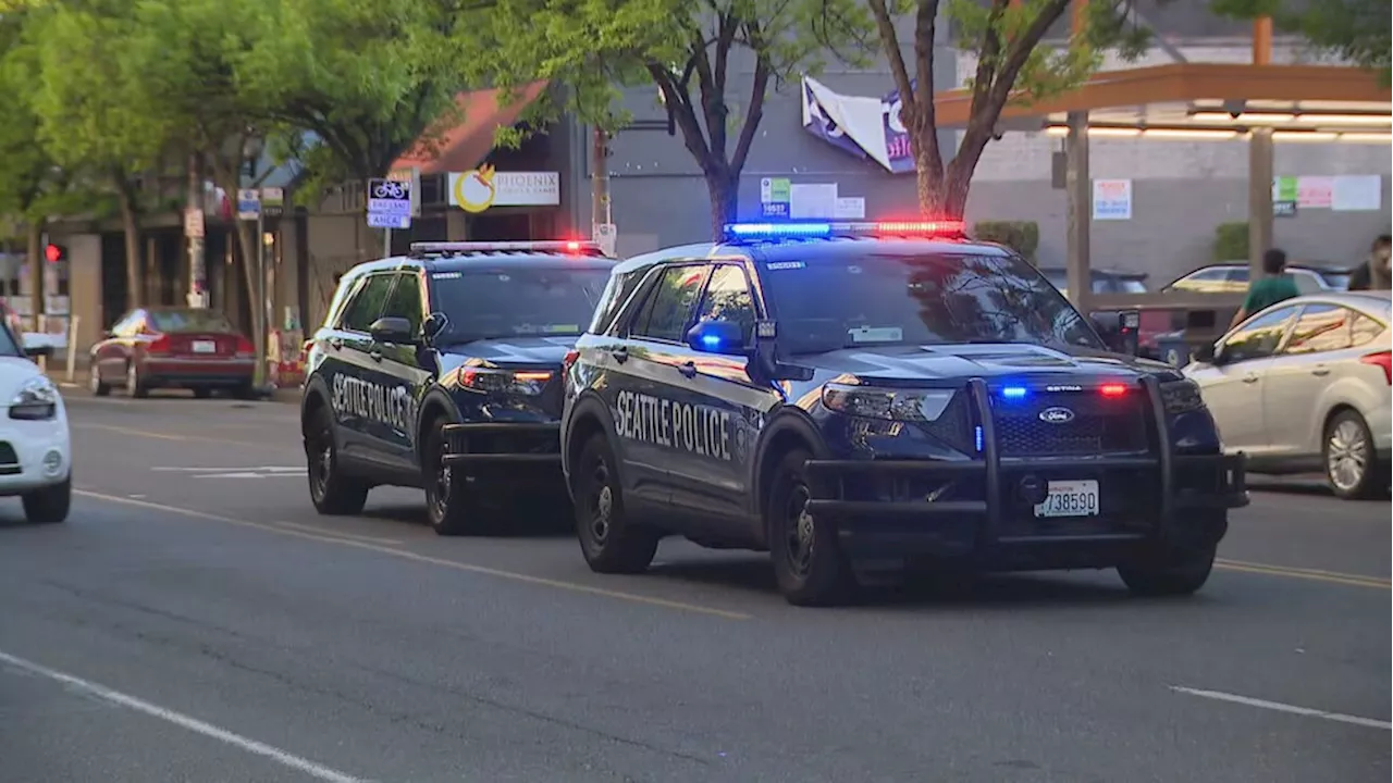 Man arrested for deadly stabbing at Capitol Hill light rail station due in court