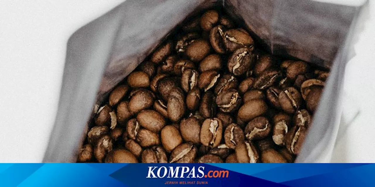 Apa Itu Kopi Lanang dan Bedanya dengan Biji Kopi Lainnya?