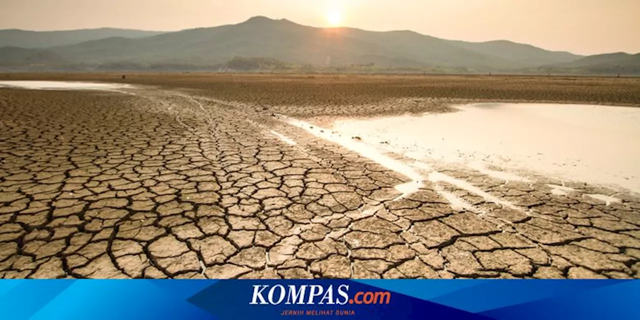 BMKG Keluarkan Peringatan Dini Kekeringan di Jawa Tengah 11-20 Mei 2024, Ini Wilayahnya