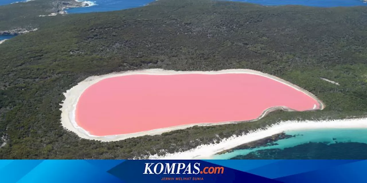 Kenapa Danau Pink di Australia Berwarna Pink?