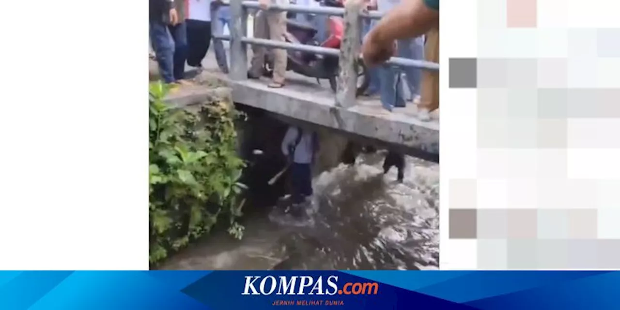 Viral, Video Pelajar di Yogyakarta Dikepung Usai Tertinggal Rombongan