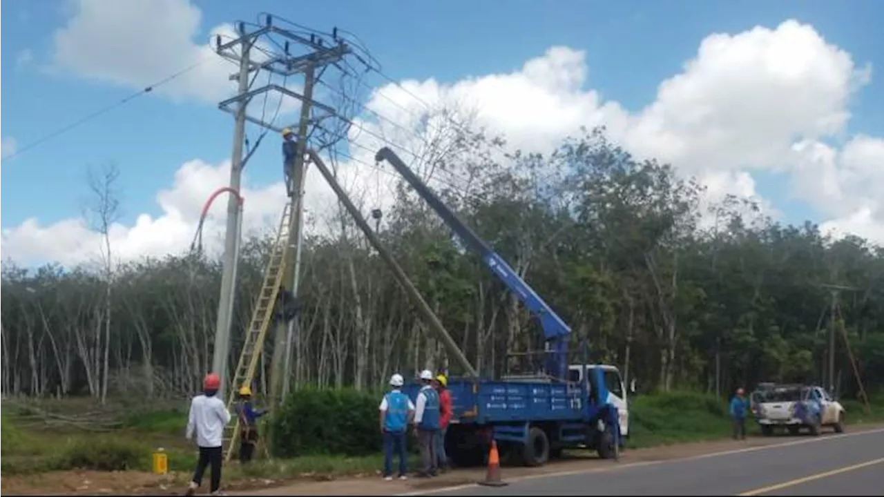 PLN ULP Pangkalan Balai Lakukan Pemeliharaan Jaringan Untuk Keandalan Jaringan Listrik