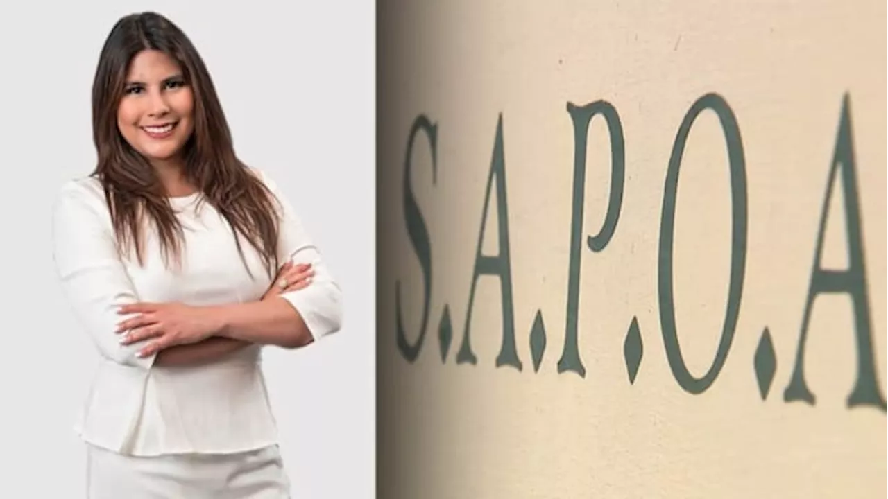 Former Blue Cares executive director says SAPOA leadership told her to create meeting records