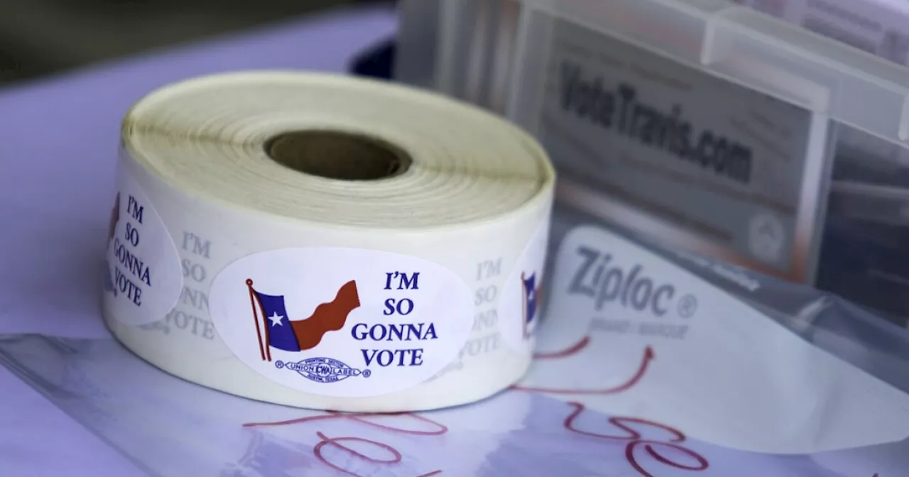 An Austin-area voter guide to the May 28 runoff elections