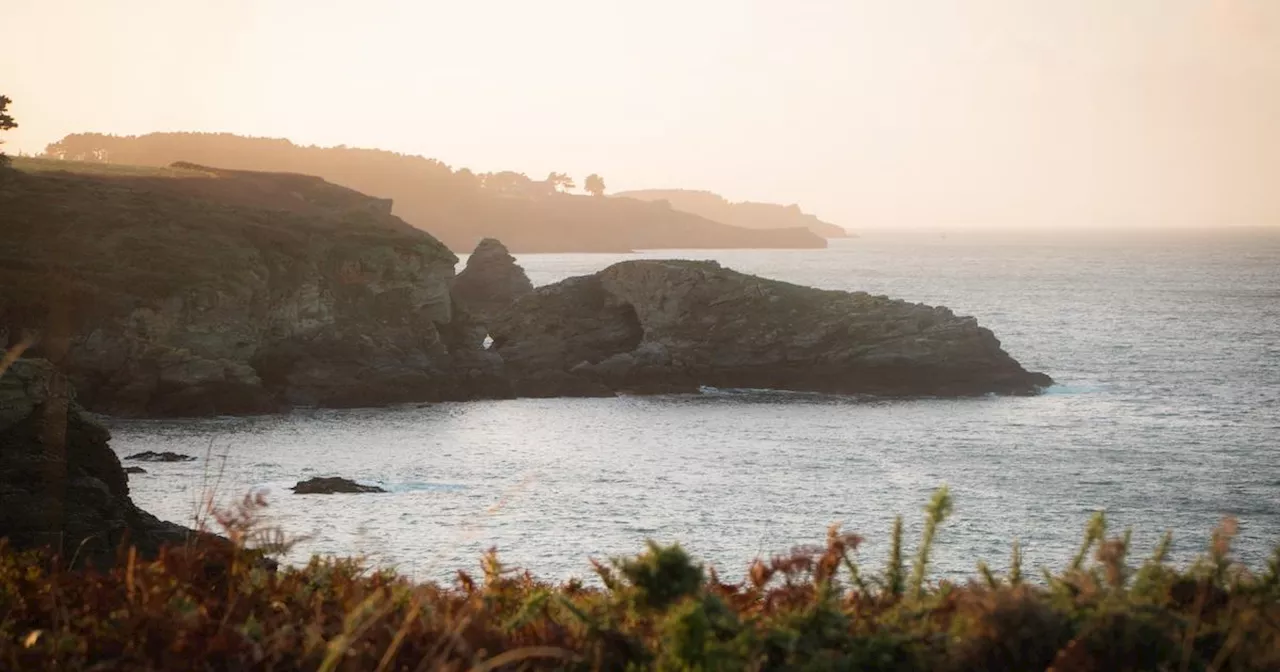 Le premier parc éolien flottant attribué à un attelage belgo-allemand