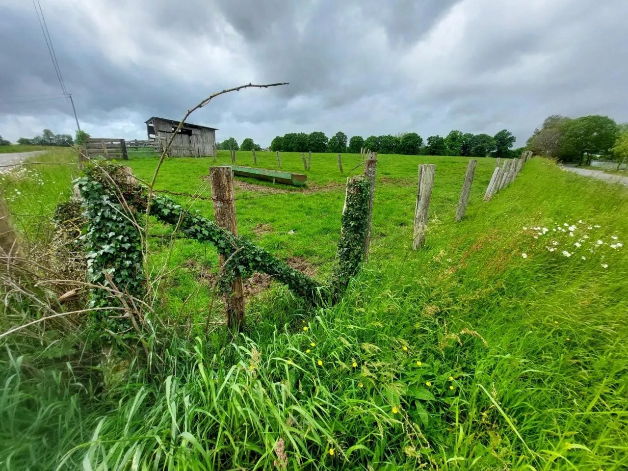 Fougères agglo agrandit la zone de l'Aumaillerie de 3 hectares | La Chronique Républicaine