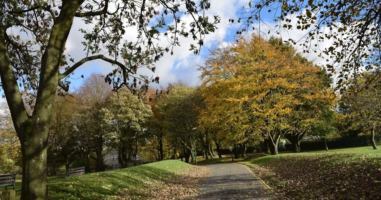 Suspected drug dealer 'rugby tackled' by cops in park and found with £11k haul