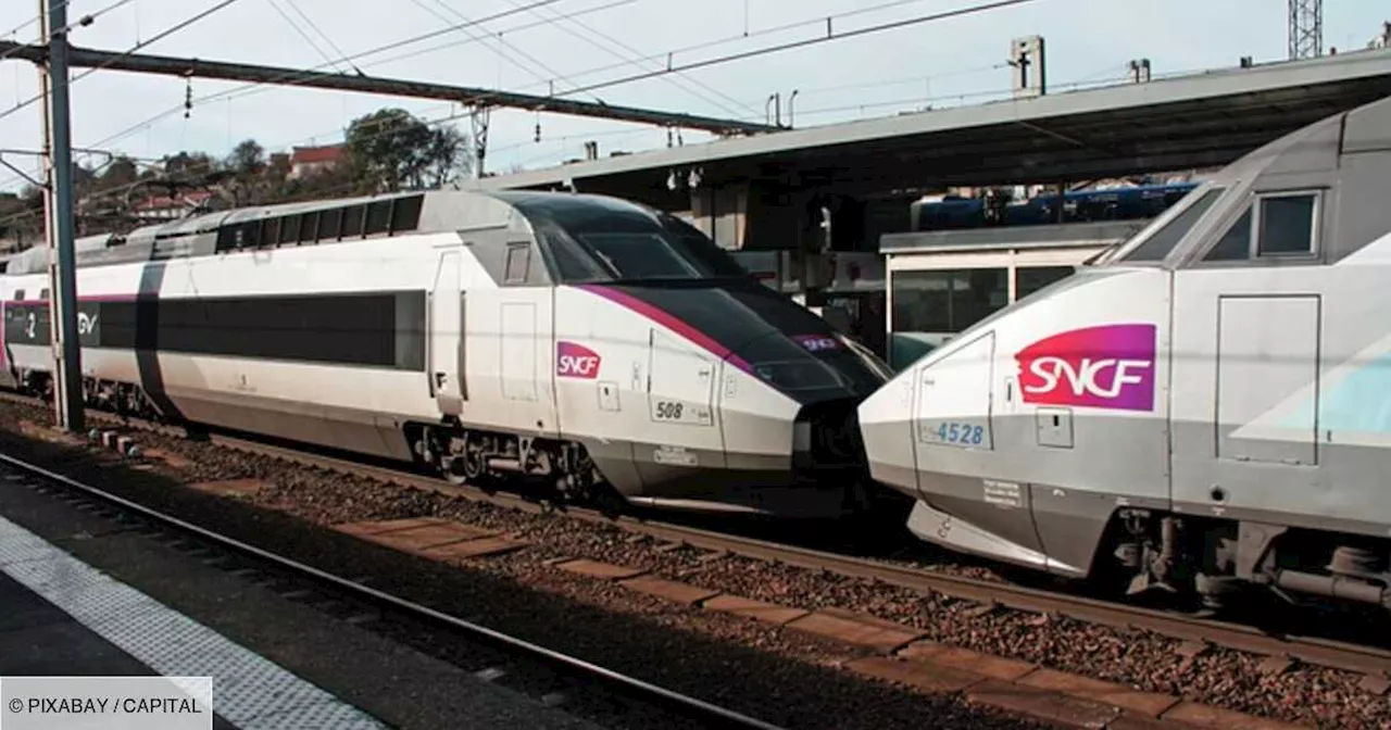 Il paie son billet de train quatre minutes en retard, la SNCF lui réclame 115 euros