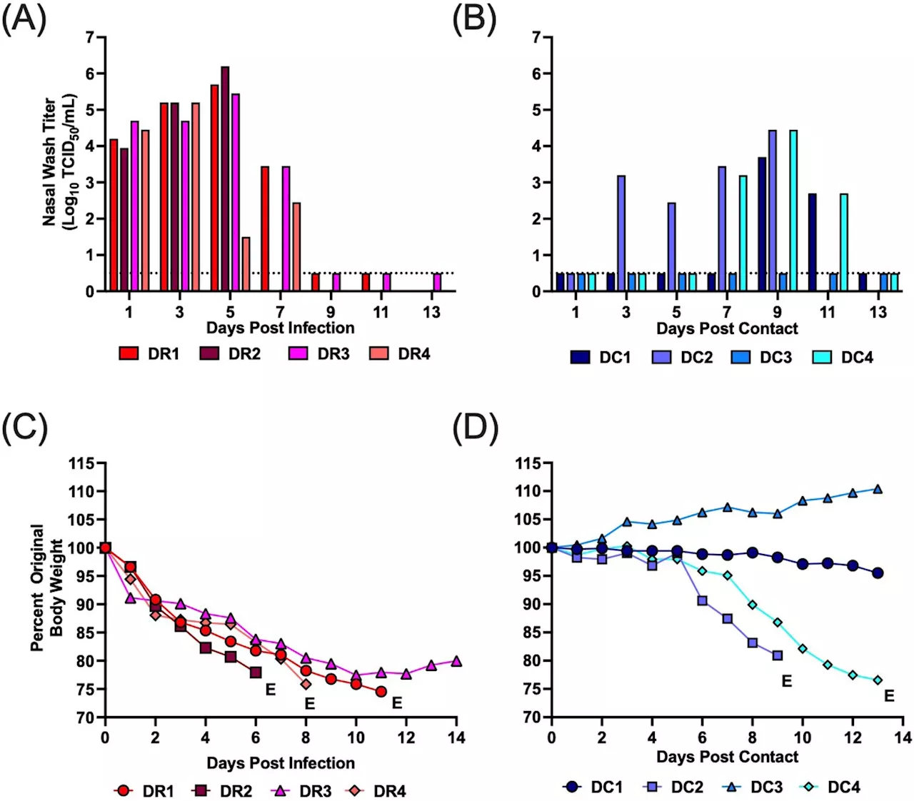 Study finds H5N1 virus from 2022 mink outbreak capable of inefficient airborne transmission